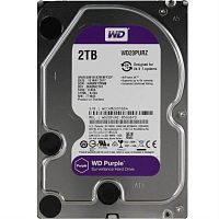 картинка Western Digital WD20PURZ (purple) Жесткий диск для видеорегистраторов 2 Tb 64 Mb SATA-III от магазина Интерком-НН